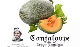 瓜家人在洛杉矶娱乐吃瓜号,瓜家人吃瓜大揭秘